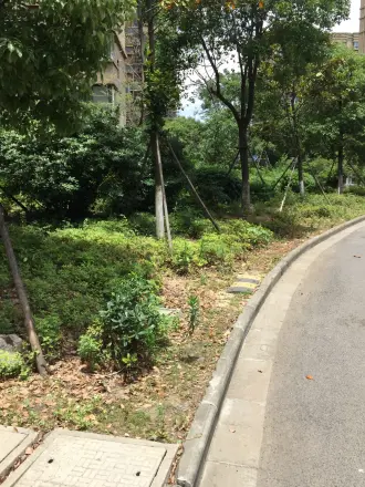 怡景佳园实景图