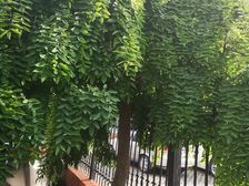 板桥南村东 位置好出行方便,靠工农路,诚心出售!