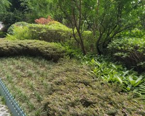 溪地湾3室2厅西南