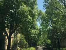 安亭瑞仕华庭3室南朝向560.00万元/套出售