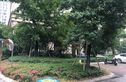 青林湾七期实景图
