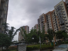 此房为毛坯,诚心出售,位置好,看房方便,