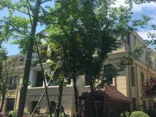 安亭瑞士华庭:同济附属,品质小区,大三房,满五无税,价格好谈