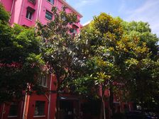 现场实勘,中间楼层,产权清晰,新上房源