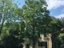 安亭瑞仕华庭3室2厅2卫南朝向480.00万元/套出售