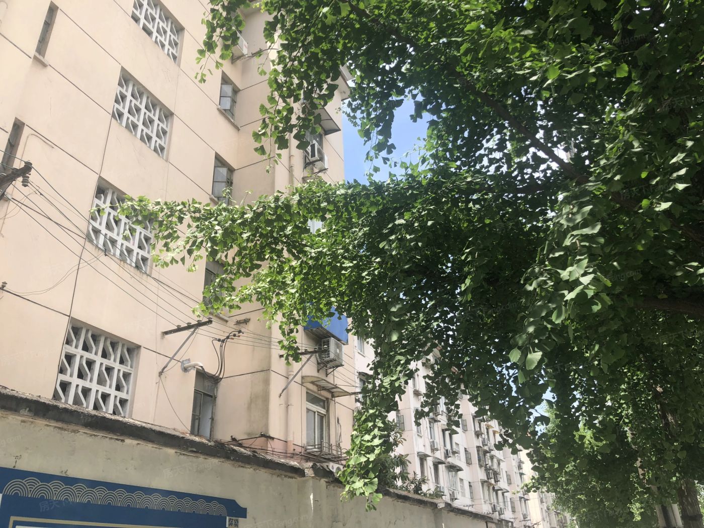 实景图