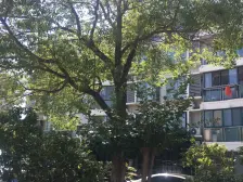 丰盛雅苑 5室1厅 南