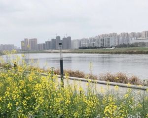 河畔新世界3室2厅南