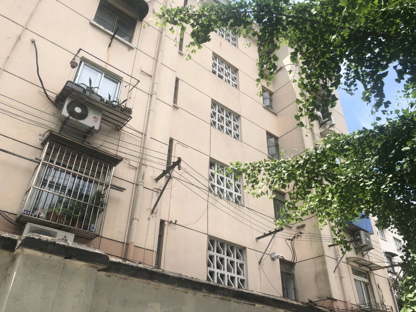 实景图