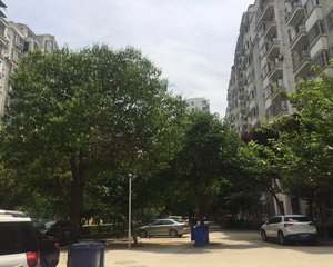 里能舜泰园4室2厅南北