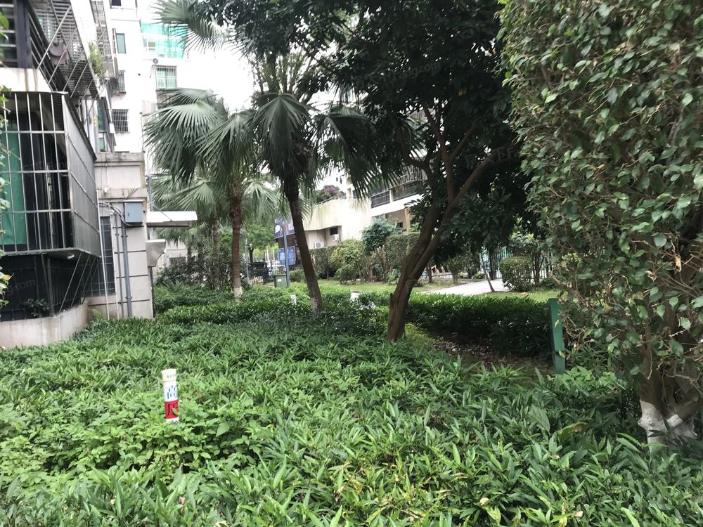 小区相关图