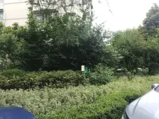 虹实一户型 美丽家园标杆小区 环境好