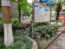 毛线沟 宝华小区三房80万