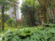贵大南苑带入户花园,毛坯三房户型好用