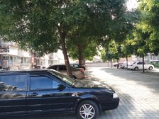 海怡庄园西区 精装修 南北通透