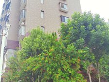 北湖春天2室2厅南