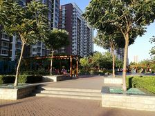 好房出售 老本税费低 中间好楼层 房主诚心出售