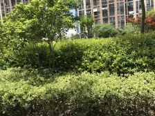 新上精装修,中间位置,视野好,拎包入住,看房方便。