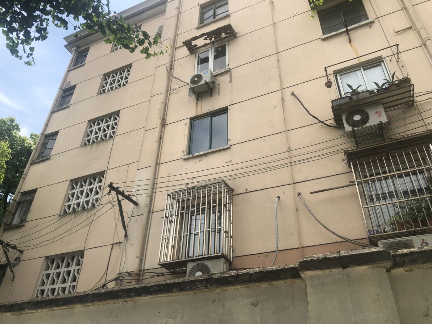 实景图