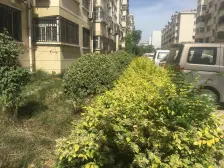 双卫,3房朝阳,带阳台,价位好谈,南北通透,诚心卖