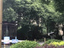 空中别墅+位置好+视野开阔+采光好+随时看房