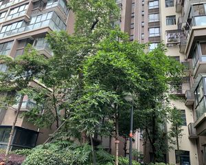 霏红榭2室1厅东南