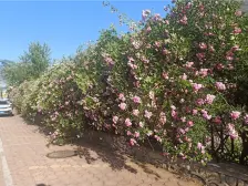 富林国际 好楼层 采光好 视野好 交通便利 适合年轻人