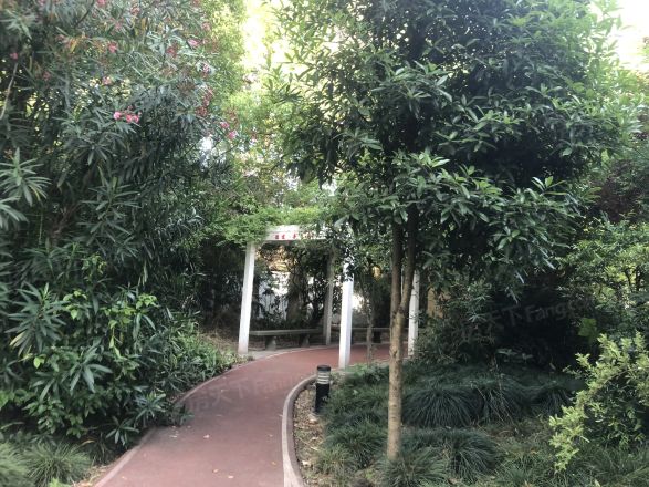 保德路1316弄小区实景图