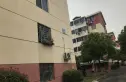 富华东村实景图