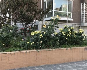 靛厂路6号院4室2厅南北
