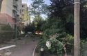 保德路1316弄小区实景图