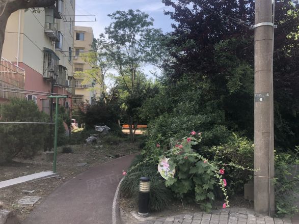 保德路1316弄小区实景图