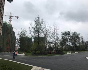 协信天骄城3室2厅东南