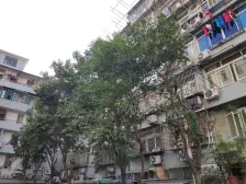 三阳小区1室北朝向260.00万元/套出售