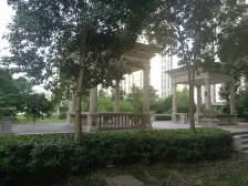 青剑湖好房急卖 好楼层 采光好目前急售