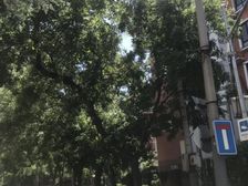 天坛公园龙潭西里·2室·1厅
