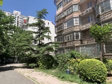 和平街西苑1室1厅东北