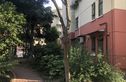 保德路1316弄小区实景图