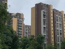 锦上城 2室1厅 东南