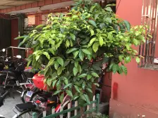 近地铁 刚需上车 中间楼层,新上房源