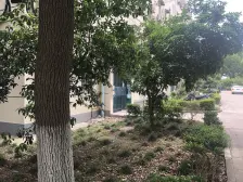 中间楼层 一梯两户 视野采光棒 生活配套成熟 诚意出售