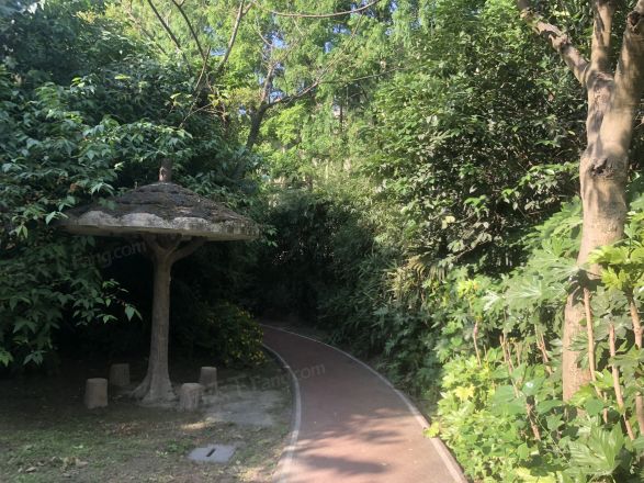 保德路1316弄小区实景图