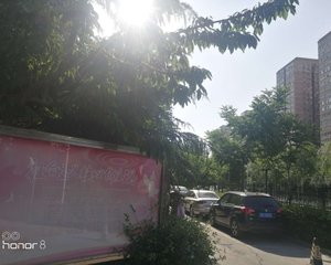 洋桥·洋桥73号院·3室·1厅