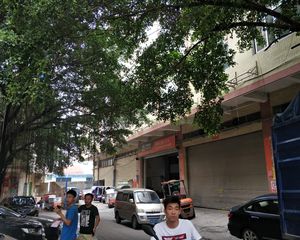 礼绿山庄,三层独栋别墅,花园200多方