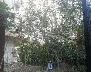 洋桥72号院2室1厅南北