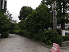 缇香郡6室2厅南