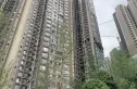 凯德卓锦万黛实景图