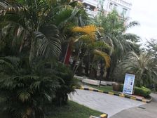 金丰花园天景居大两房 户型方正 楼层好 采光好 无遮挡