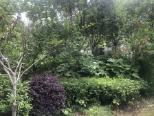 中间楼层,视野开阔,舒适安静,生活便利