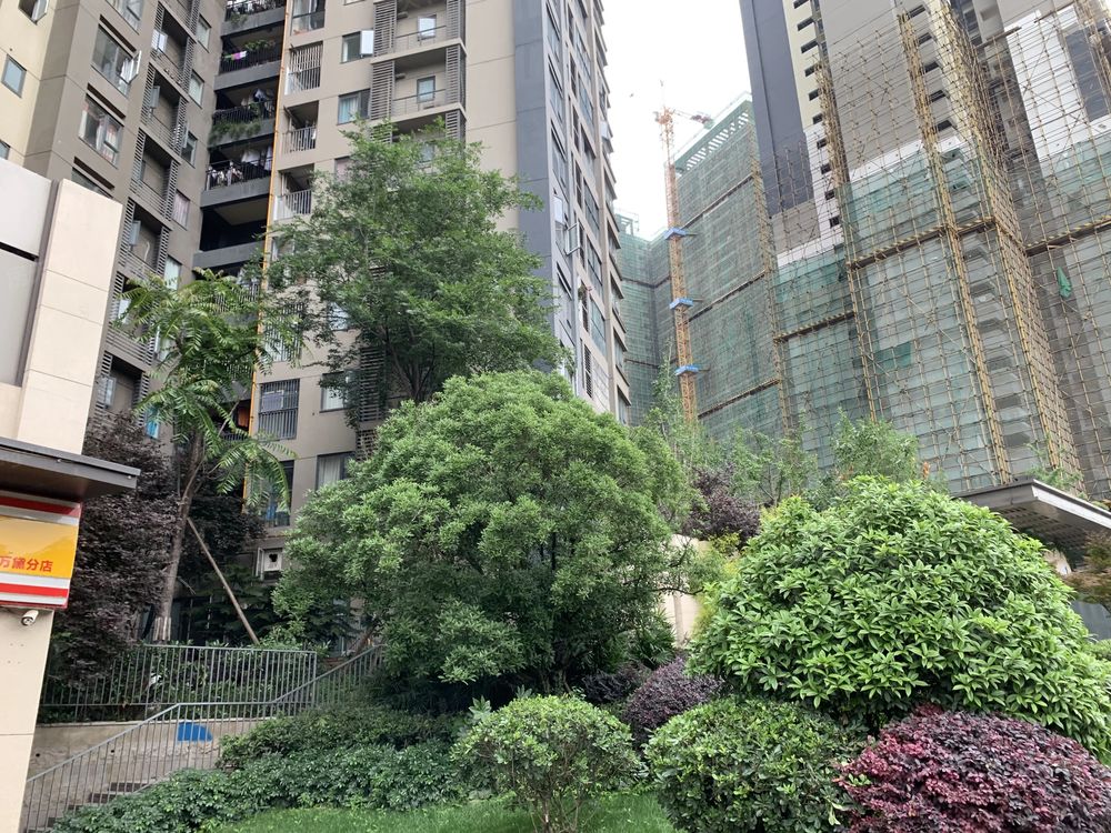 小区相关图